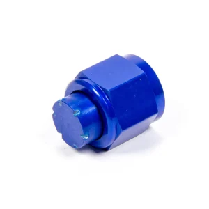 Special Offer Aeroquip #10 An Cap AluminumFcm3742