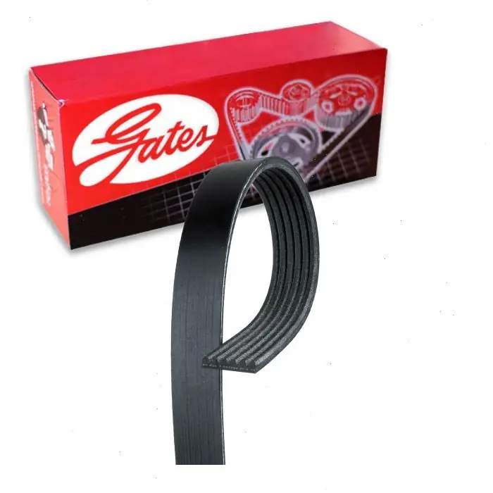 2014-2019 Volkswagen Passat 1.8L 2.0L L4 Gates Micro-V Serpentine Belt - Accessory Drive - Belts Money Back Guarantee
