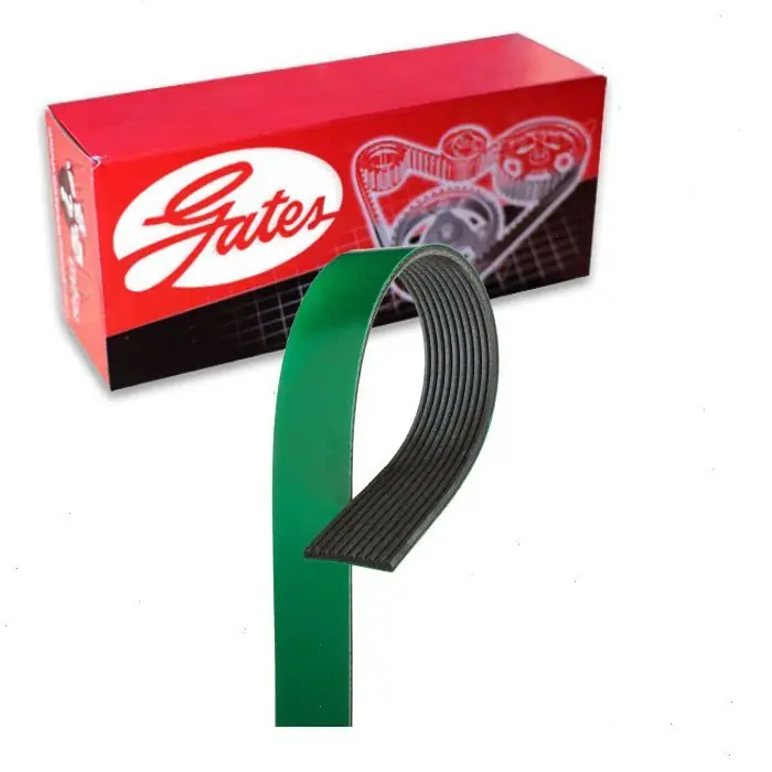 Gates FleetRunner Micro-V K100502HD Serpentine Belt for 0124894004 10K502 10K502HDV 10PK1275 10PK1280 25-100502 25-100502HD 4100503 4100503X 503K10 503K10MK 5100503 Bargain