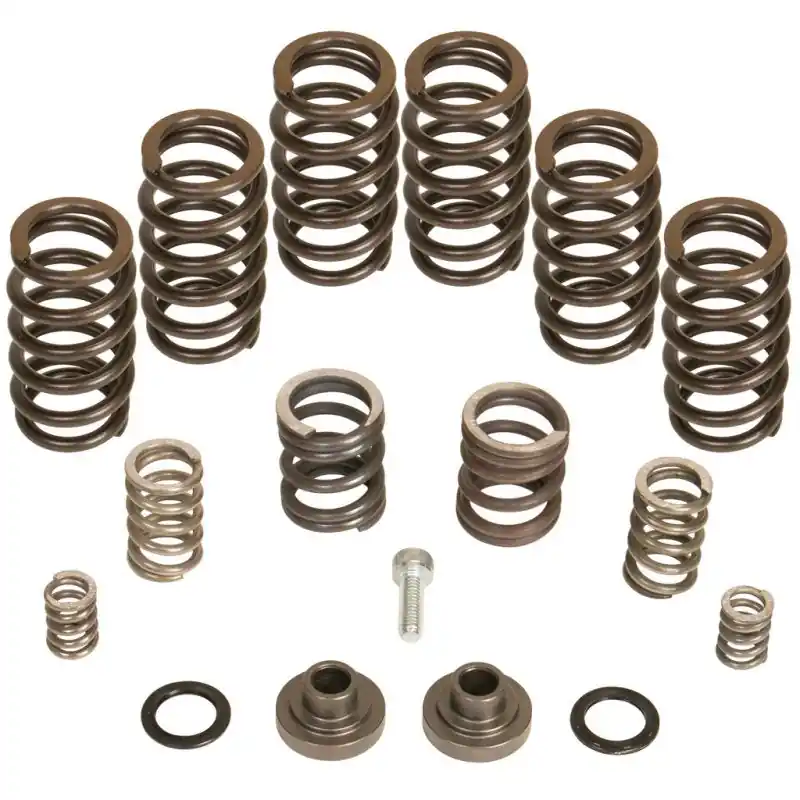 Save Now BD Diesel Governor Spring Kit 4000rpm - 1994-1998 Dodge 12-valve/P7100