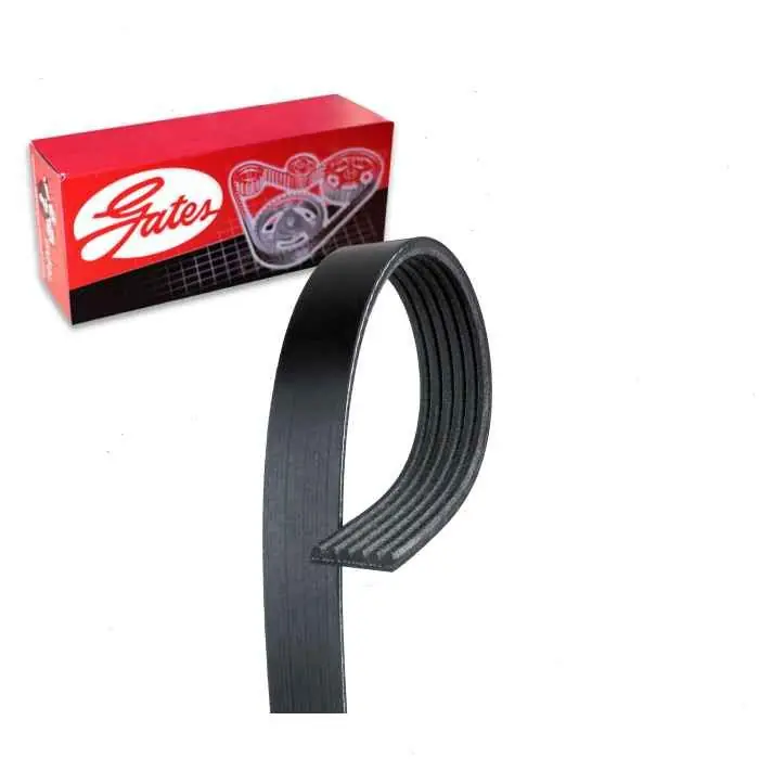 1993-1995 Chevrolet C3500 5.7L V8 Gates Micro-V Serpentine Belt - Accessory Drive - Belts Cooling Best Price
