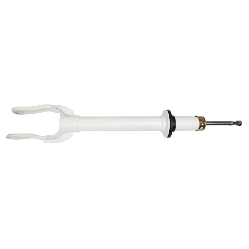 Rancho 11-15 Dodge Durango Front RS5000X Strut Modern