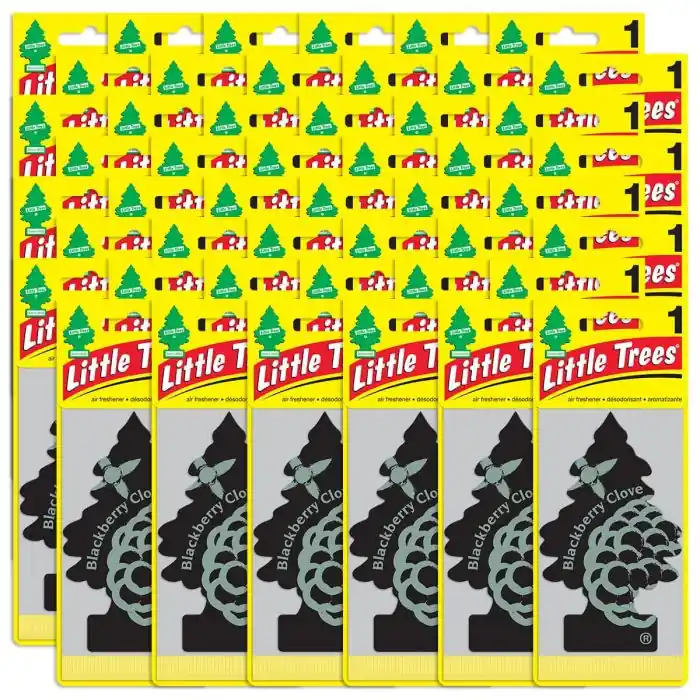 Certified Little Trees Blackberry Clove Air Fresheners for Car and Home - 48 pack