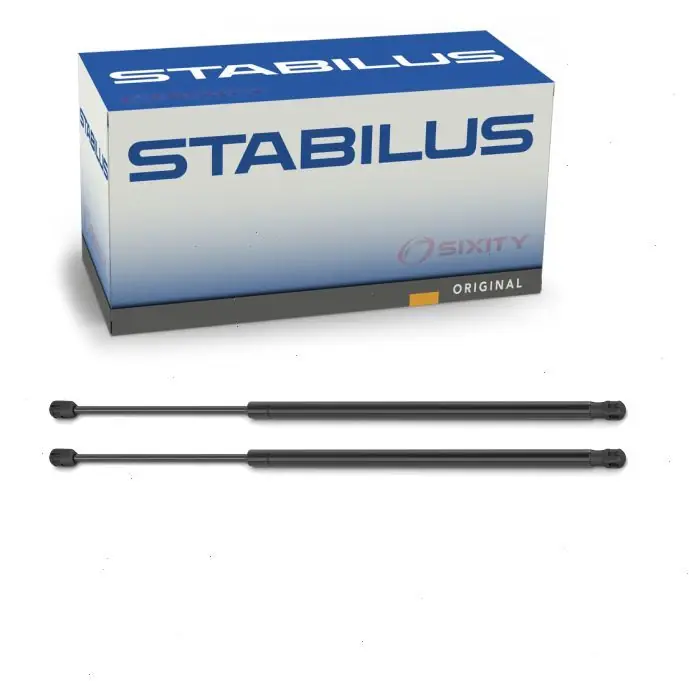 2010-2015 BMW X1 2 pc Stabilus Hatch Lift Supports - Body Order Now